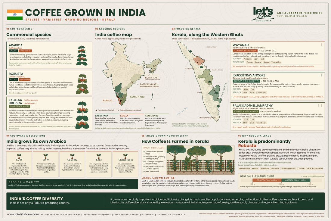 Why Kerala Grows Robusta