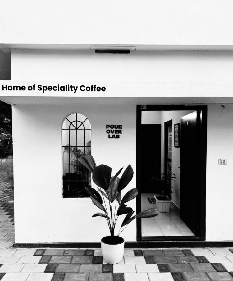 Coffee learning at Pour Over Lab
